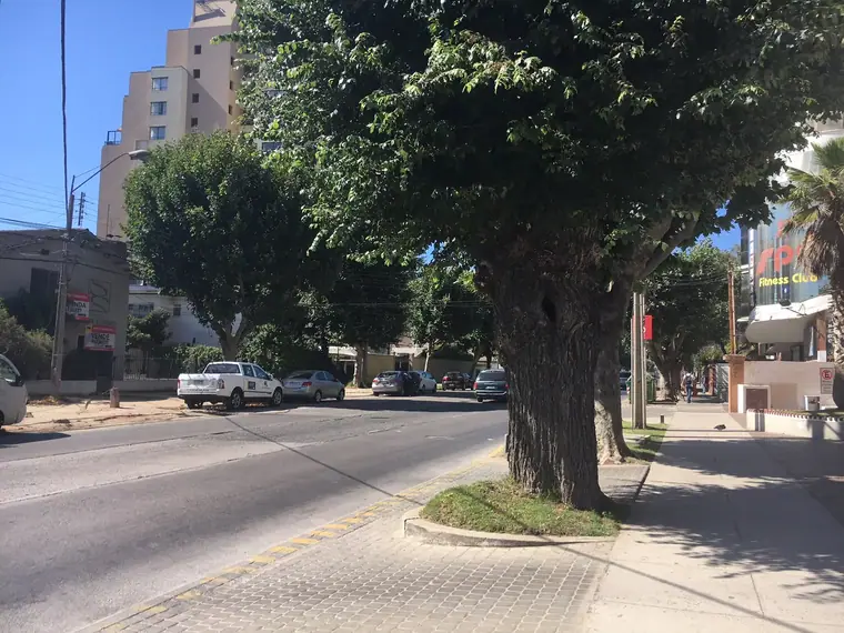 Amplia propiedad comercial en arriendo, 5 Oriente, Viña del Mar — Sector Oriente · Viña del Mar, Valparaíso