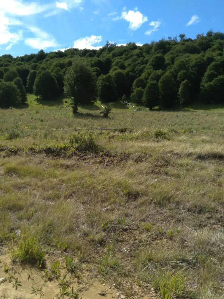 Campo 17,3 ha en venta, Coyhaique — Coyhaique, Región de Aysén