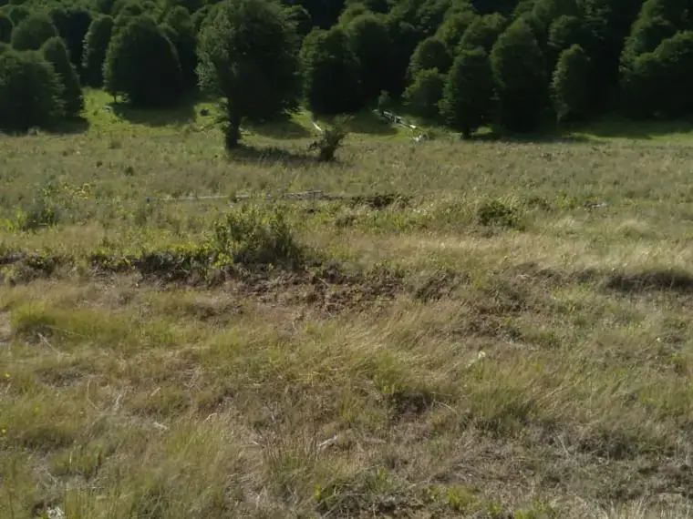 Campo 17,3 ha en venta, Coyhaique — Coyhaique, Aysén