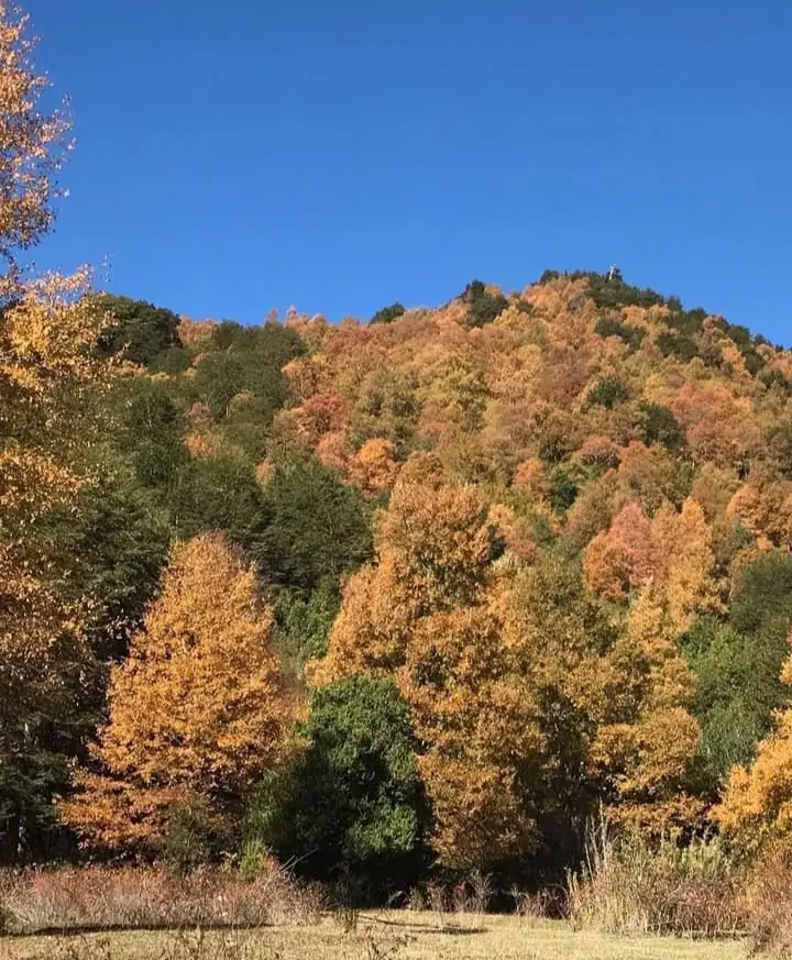 Parcelas de 5.000 m2 en venta, a una hora de Pucón — Huirilil, Región del Maule